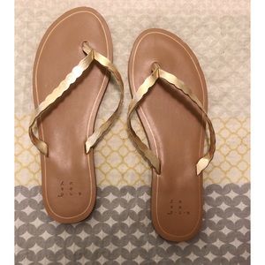 Gold flip flops
